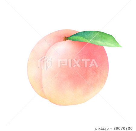 熟した桃の水彩イラスト 葉つき 新鮮な旬のフルーツのイラスト素材