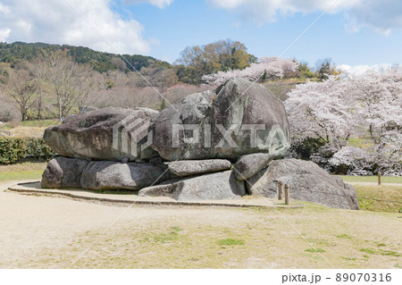 桜満開の石舞台古墳 89070316
