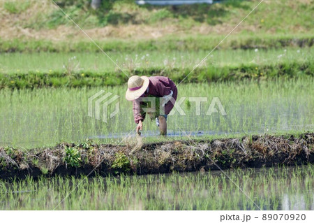 農作業 4月 農作業 4月 89070920