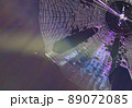 破れたクモの巣に光が当たり虹色に輝いてる 89072085