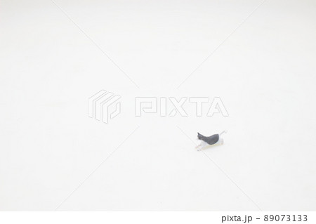 a fun of the scale cat on the white board 89073133