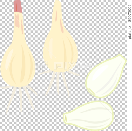 Raw scallions and peeled scallions 89075003