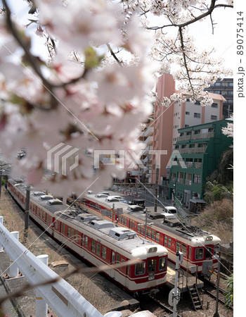 桜と電車 桜と電車 89075414
