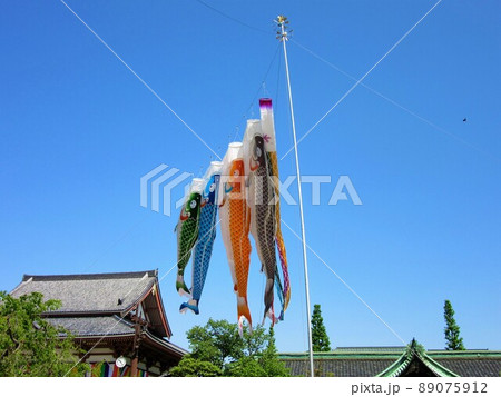 お寺の屋根と鯉のぼり 屋根より高い鯉のぼりの写真素材 [89075912] - PIXTA