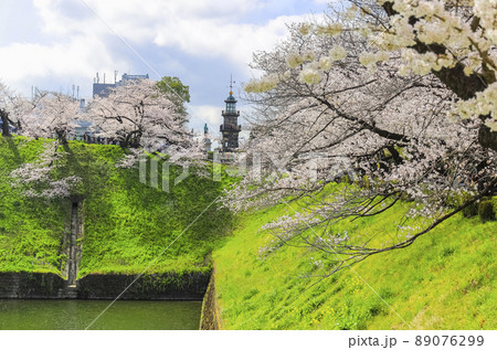 東京都 千鳥ヶ淵 満開の桜 東京都 千鳥ヶ淵 満開の桜 89076299