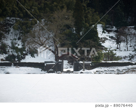 雪の一乗谷　福井県・福井市 89076440