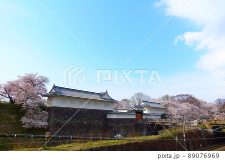 桜　サクラ　さくら　霞城公園 89076969