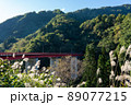 富山県南砺市　梨谷大橋と五箇山トンネル　（10月）　梨谷大橋展望所より 89077215
