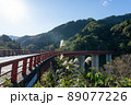 富山県南砺市　梨谷大橋と五箇山トンネル　（10月） 89077226