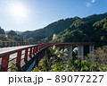 富山県南砺市　梨谷大橋と五箇山トンネル　（10月） 89077227