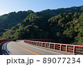 富山県南砺市　梨谷大橋と五箇山トンネル　（10月） 89077234