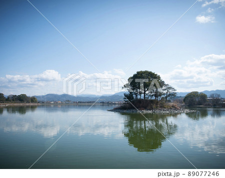 平池緑地公園　和歌山県・紀の川市　貴志川町 89077246