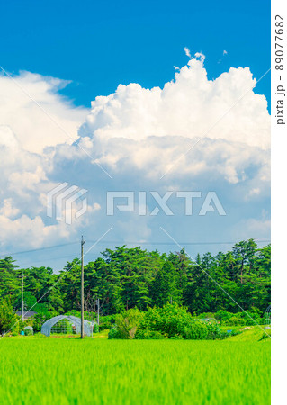 夏空イメージ【長野県】 89077682