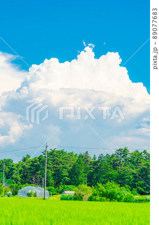 夏空イメージ【長野県】 夏空イメージ【長野県】 89077683