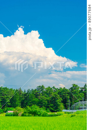 夏空イメージ【長野県】 夏空イメージ【長野県】 89077684