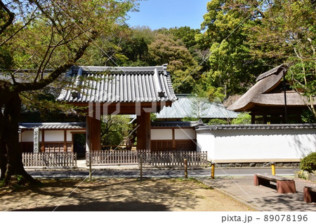 箱根町 早雲寺の山門と新緑 箱根町 早雲寺の山門と新緑 89078196