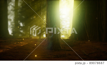firefly in misty forest with fog 89078687