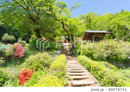 桂木観音の門（武蔵おごせハイキングコース） 89078741