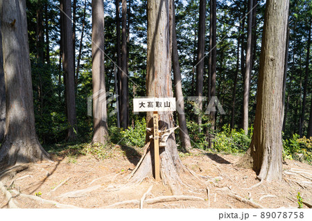 大高取山の山頂（武蔵おごせハイキングコース） 89078758