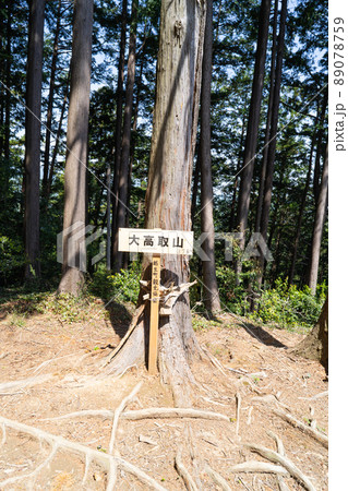 大高取山の山頂（武蔵おごせハイキングコース） 89078759