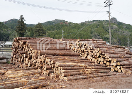 原木置き場9 89078827
