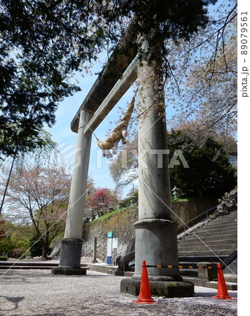 継ぎ目なし石造り日本一の大鳥居(烏帽子山八幡宮) 継ぎ目なし石造り日本一の大鳥居(烏帽子山八幡宮) 89079561
