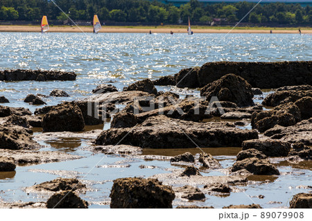 晴れの日の磯の風景 89079908