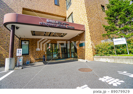 東京大学附属動物医療センター 89079929