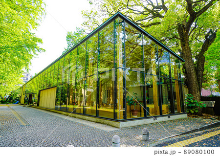 東京大学弥生講堂 89080100