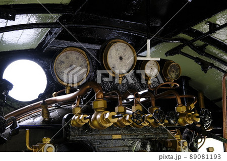 本牧市民公園 D51 89081193