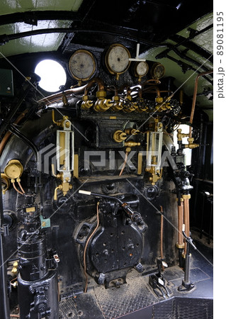 本牧市民公園 D51 本牧市民公園 D51 89081195