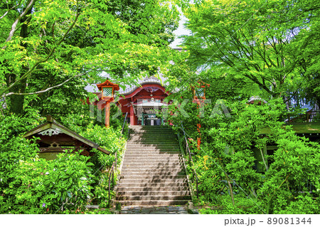 東京都 昭島市 拝島公園 大日堂 本殿 東京都 昭島市 拝島公園 大日堂 本殿 89081344