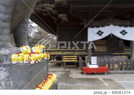 狛虎の足元に並ぶ身代わり虎／埼玉県所沢市 89081374