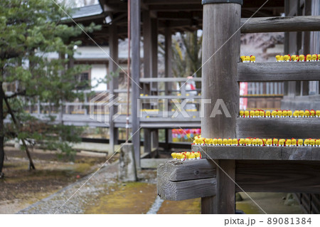 たくさん並んだ身代わりの虎【多聞院】／埼玉県所沢市 89081384