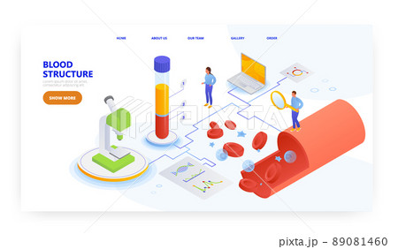 Blood structure, landing page design, website banner vector template. Red, white cells, plasma, platelet. Human anatomy. 89081460