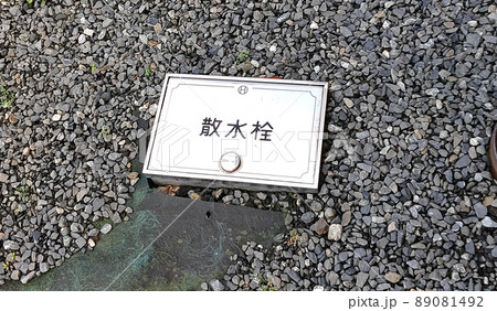 地面に埋まる散水栓ボックス 地面に埋まる散水栓ボックス 89081492