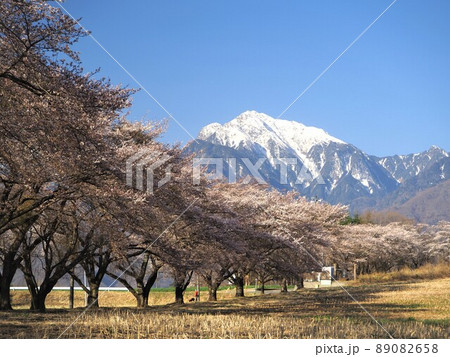 山梨県 甲斐駒ヶ岳と蕪の桜並木 4月 山梨県 甲斐駒ヶ岳と蕪の桜並木 4月 89082658