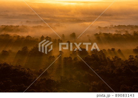 釧路湿原、釧路、雲海、湿原、朝焼け、北海道、観光地、白、茶色、霧、水蒸気、早朝、静かな時、雲海の流れ 89083143