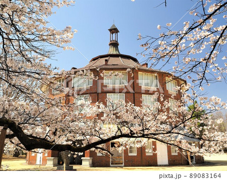 山梨県　清春芸術村の桜とラ・リューシュ　4月 89083164