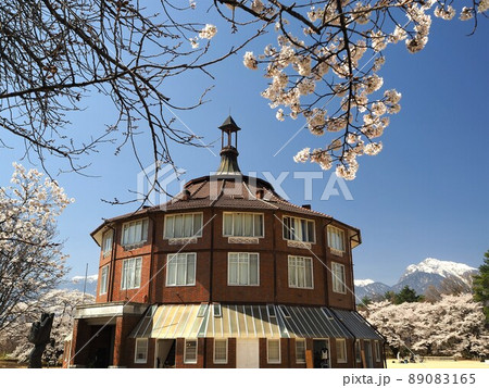 山梨県　清春芸術村の桜とラ・リューシュ　4月 89083165