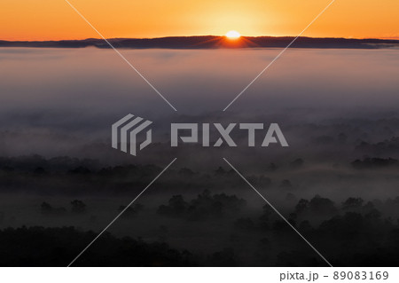 釧路湿原　朝日が雲海を照らす 89083169