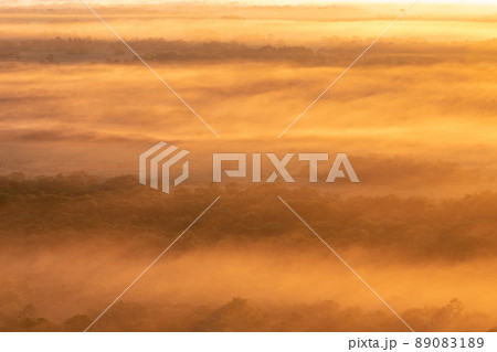釧路湿原　朝日が雲海を照らす 89083189