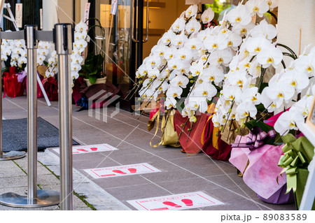 出店祝い　胡蝶蘭の贈り物 89083589