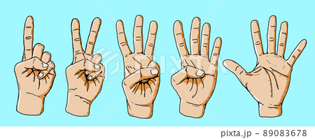 vector set posture of counting fingers 1-2-3-4-5 isolated on blue background, cartoon sketch drawing style. body language gesture , finger language, sign language, finger alphabet vector set posture of counting fingers 1-2-3-4-5 isolated on blue background, cartoon sketch drawing style. body language gesture , finger language, sign language, finger alphabet 89083678