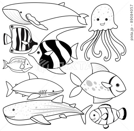 A set of doodle about fish on white background 89084057