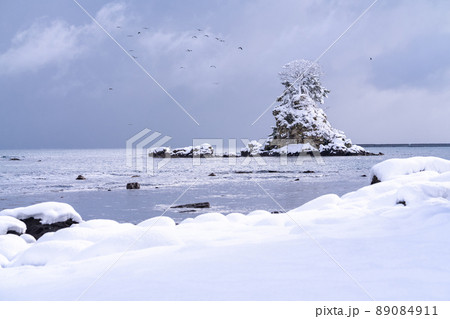 《富山県》冬の雨晴海岸・雪化粧の女岩 《富山県》冬の雨晴海岸・雪化粧の女岩 89084911