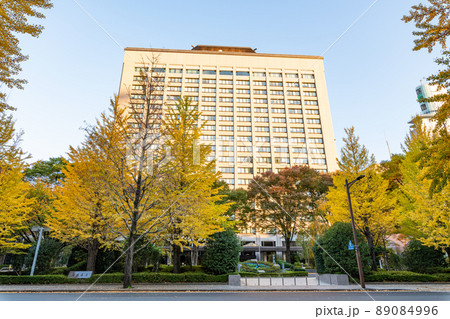宮城県仙台市　快晴の宮城県庁 89084996