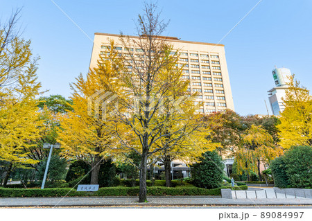 宮城県仙台市　快晴の宮城県庁 89084997