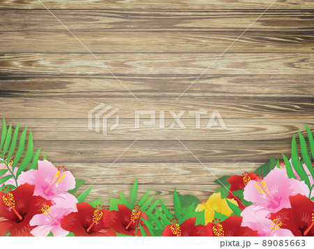 ハイビスカス　リゾート地 89085663