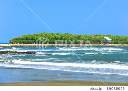 【宮崎県】晴天下の青島（鬼の洗濯板） 89086096